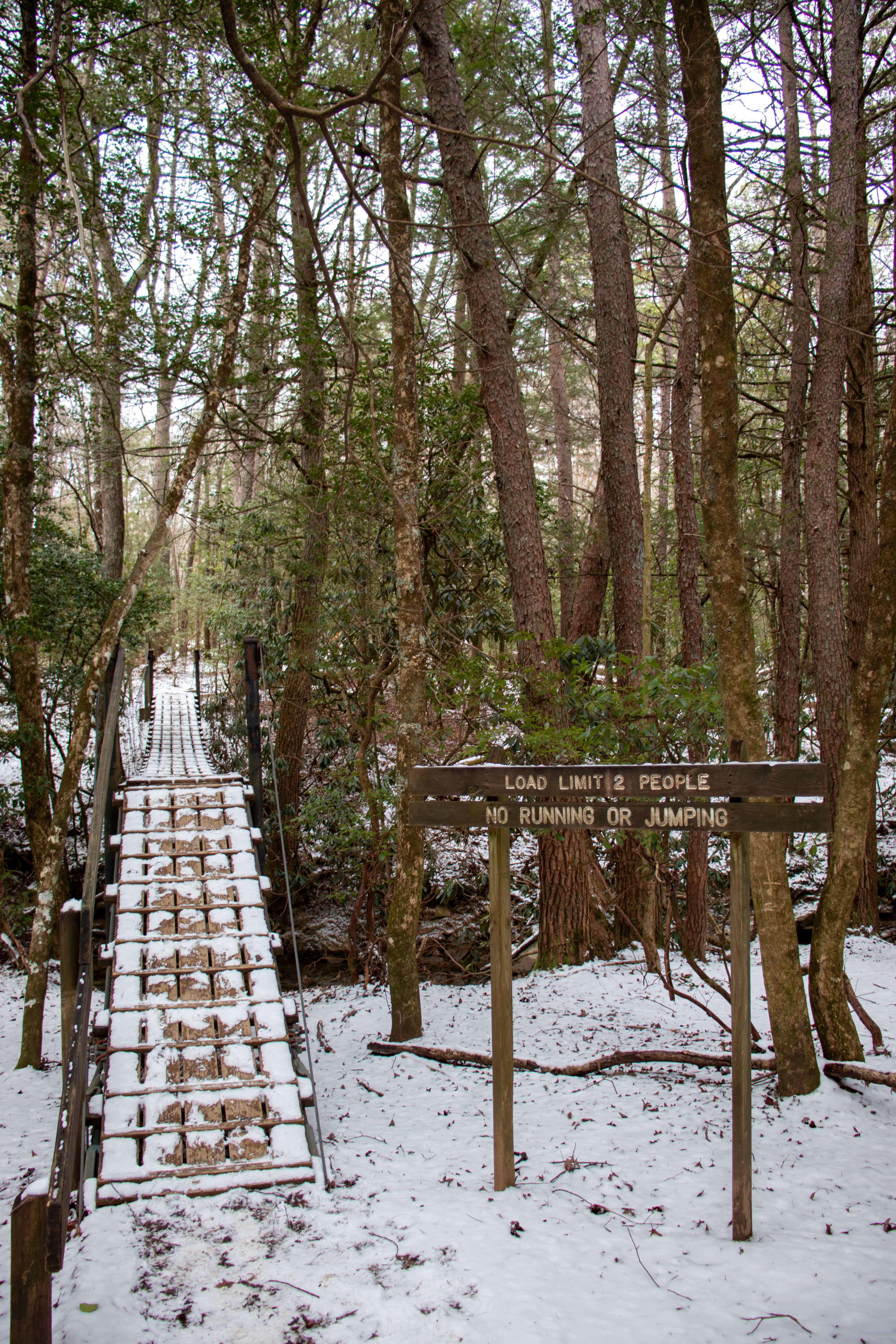 suspension bridge over Boyd Branch with sign warning that the capacity is only two people and no running or jumping on bridge