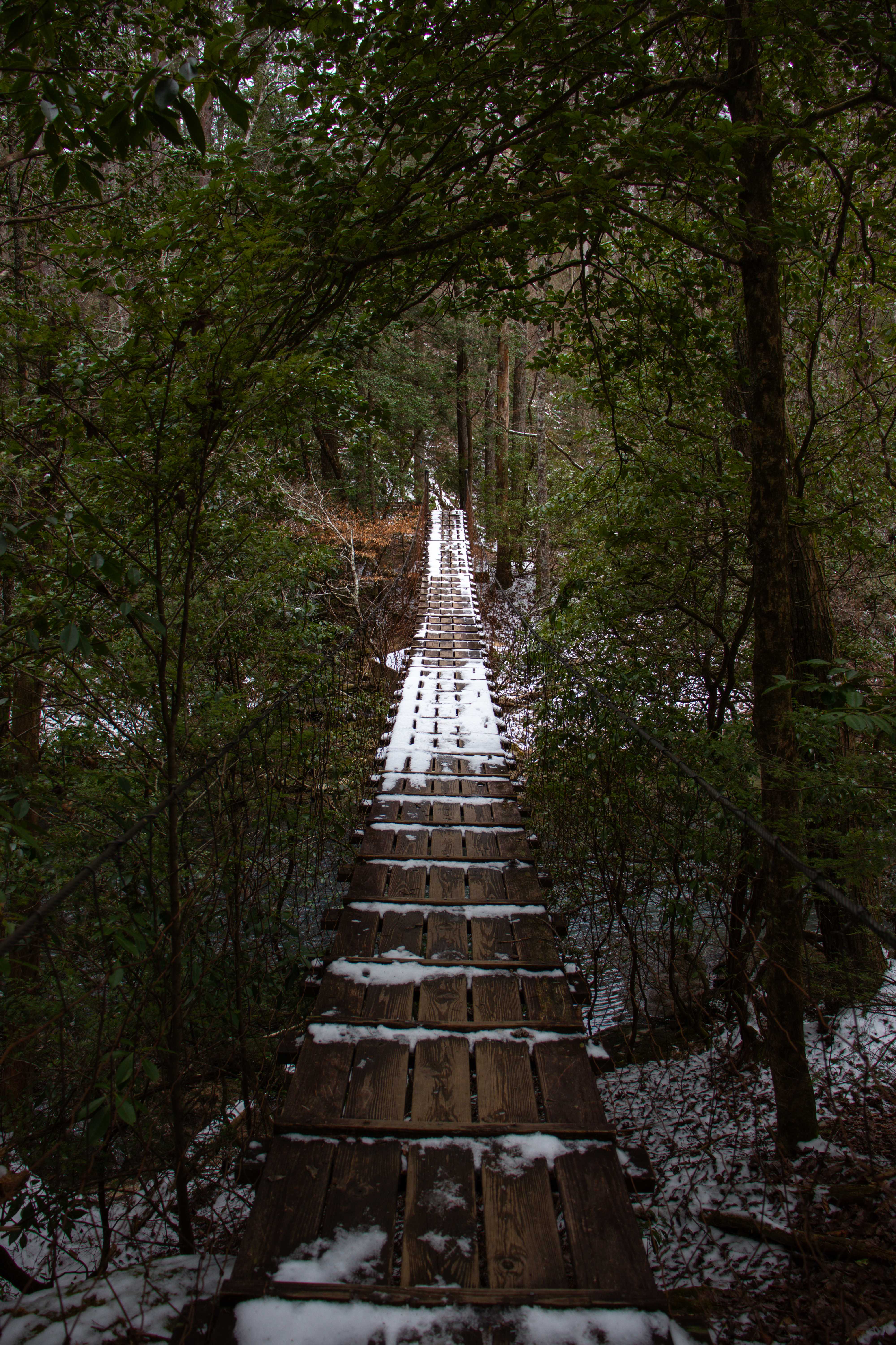 savage creek suspension bridge covered in a dusting of snow