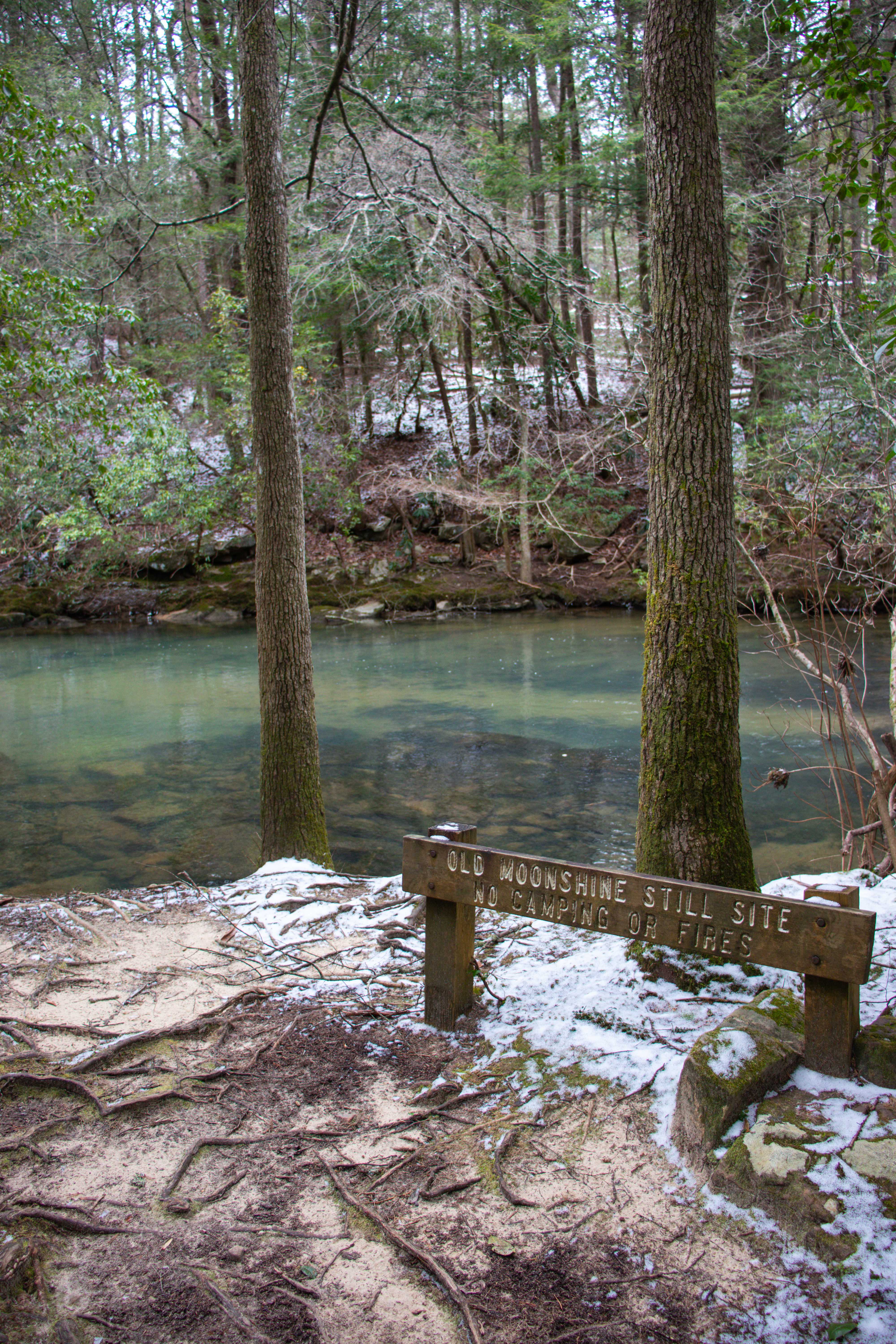 old moonshine still site on savage creek