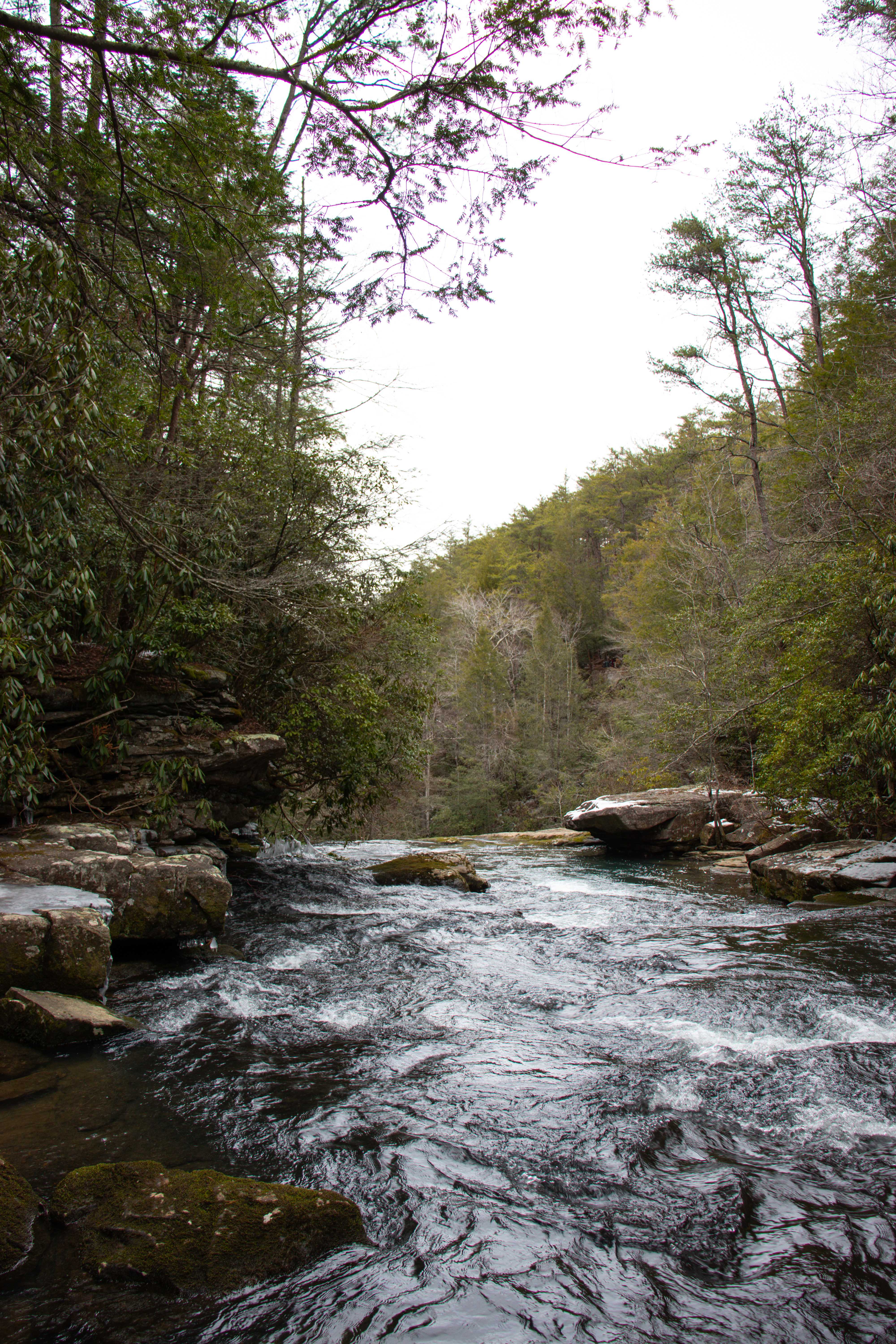 the creek from behind as it falls into savages falls