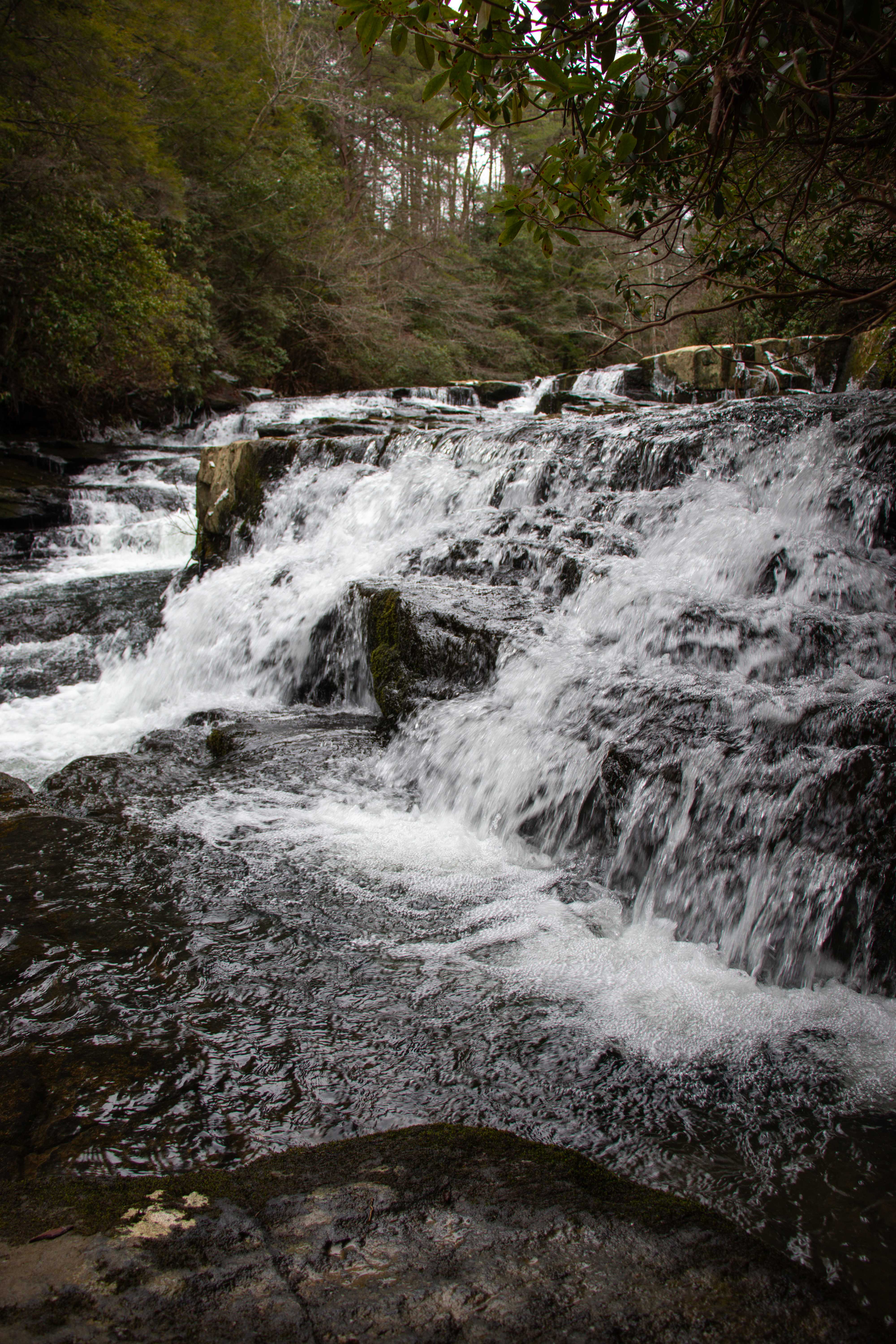 cascades above savage falls