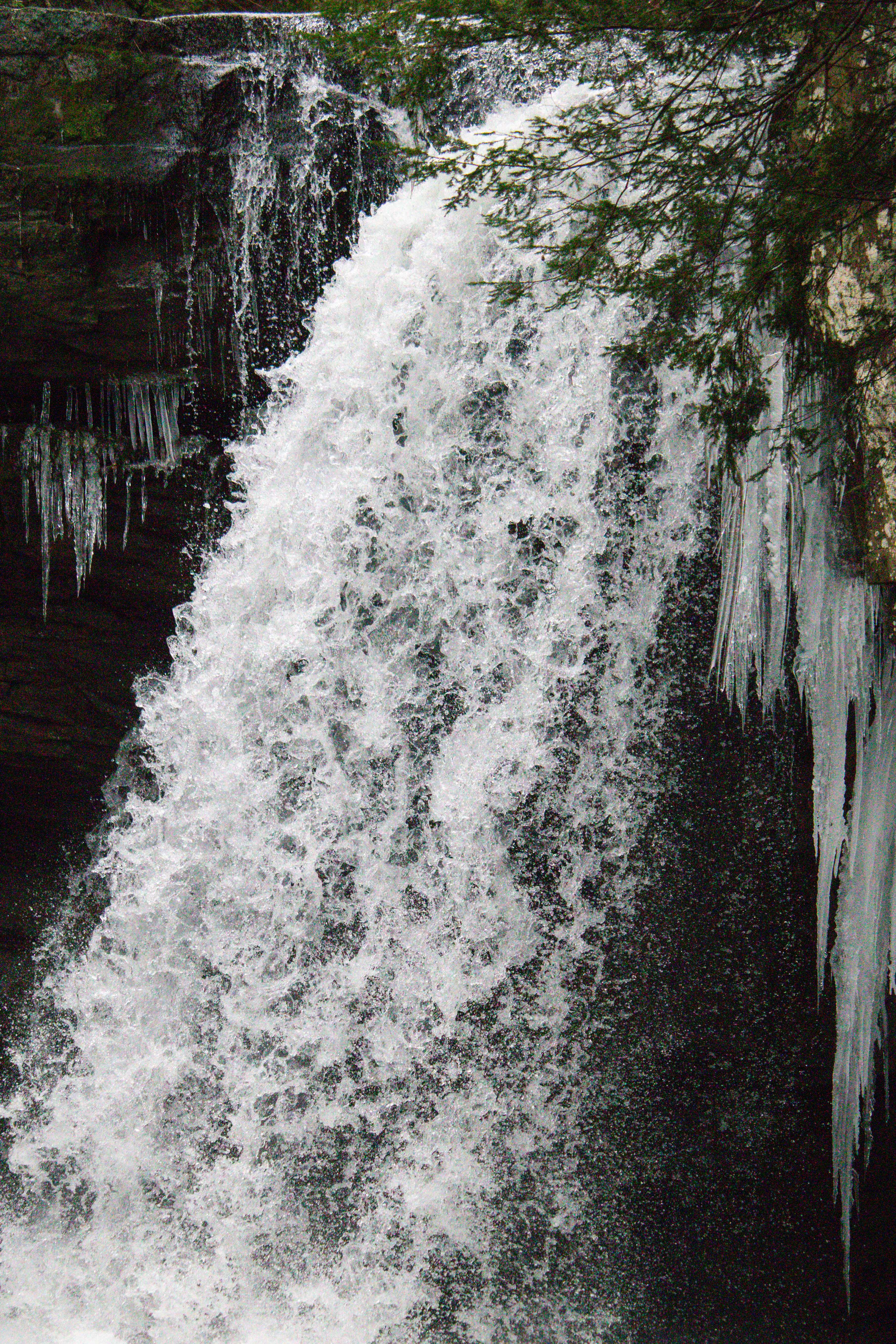 close up of savage falls