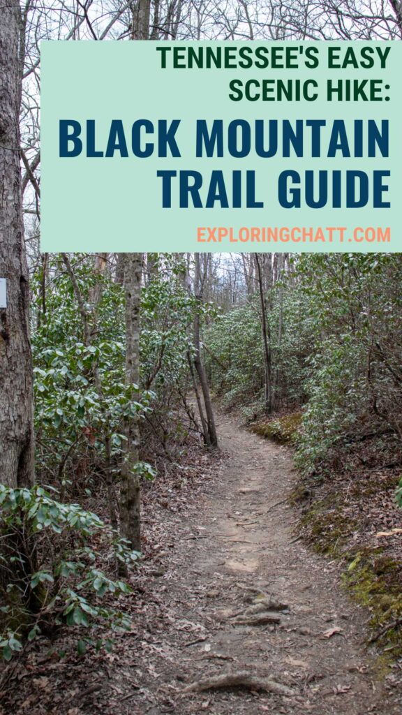 Tennessee's Easy Scenic Hike Black Mountain Trail Guide