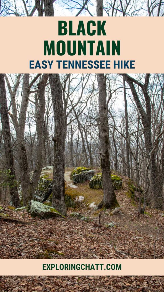 Black Mountain Easy Tennessee Hike