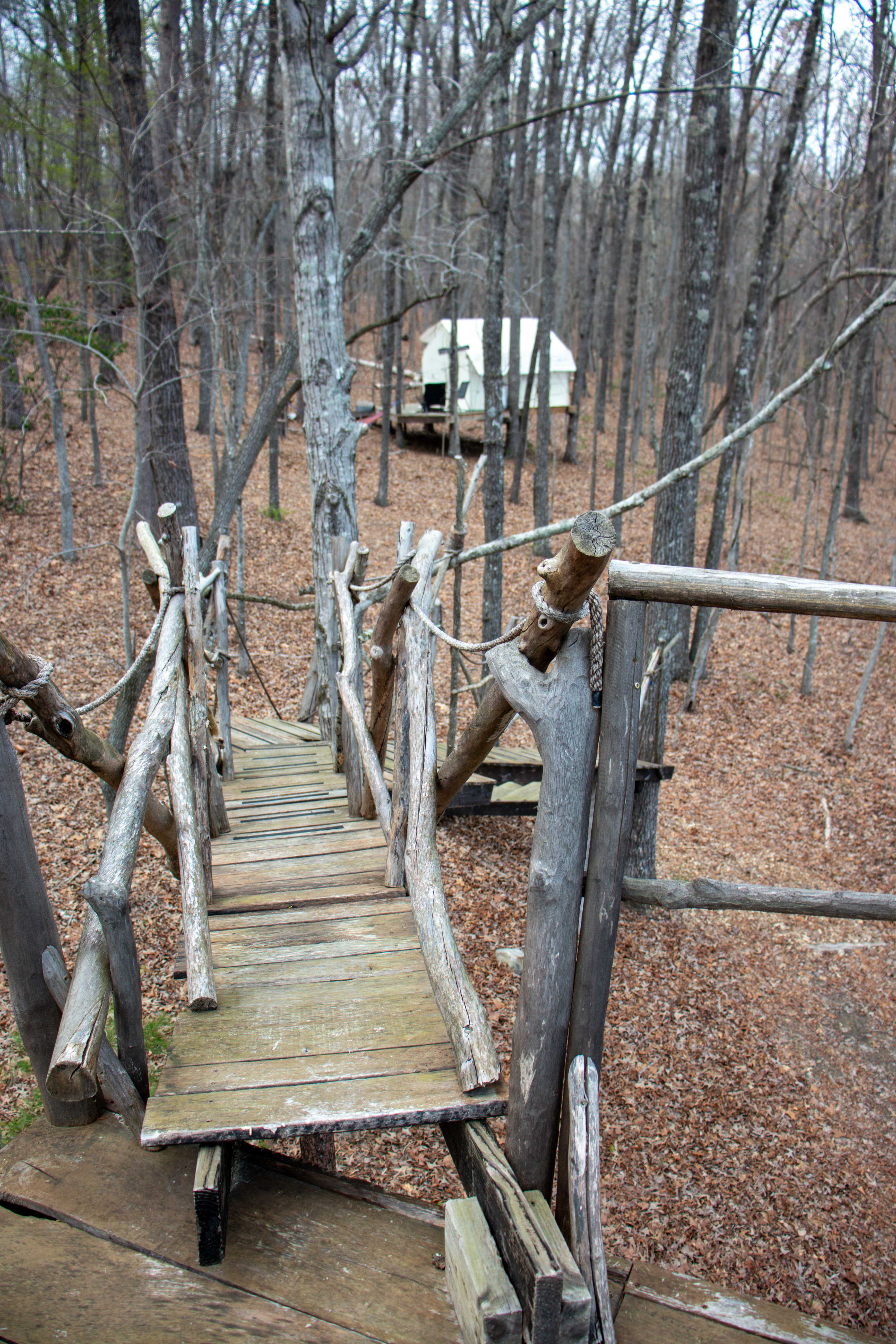 new perspective platform awakening adventures