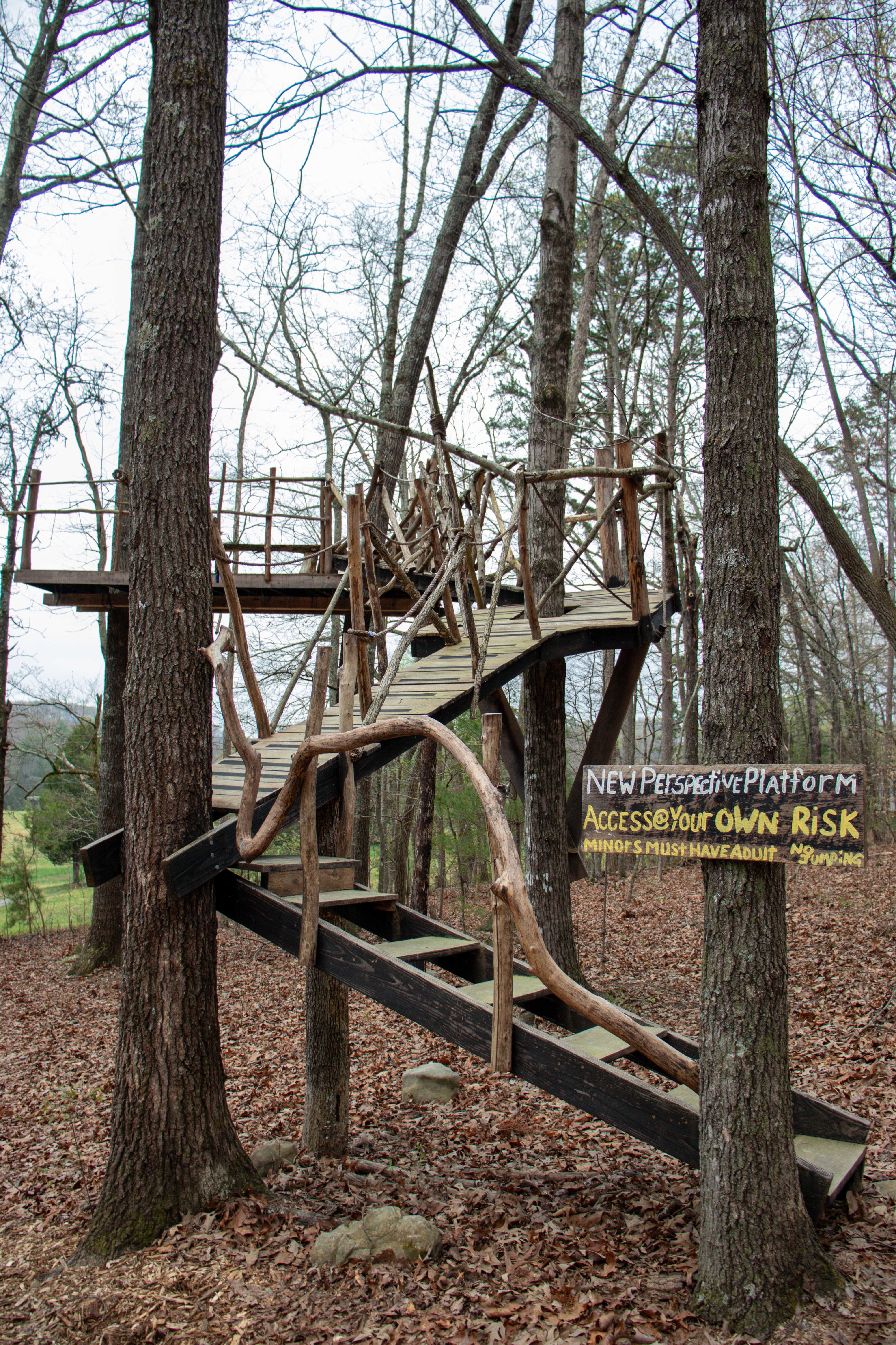 new perspective platform