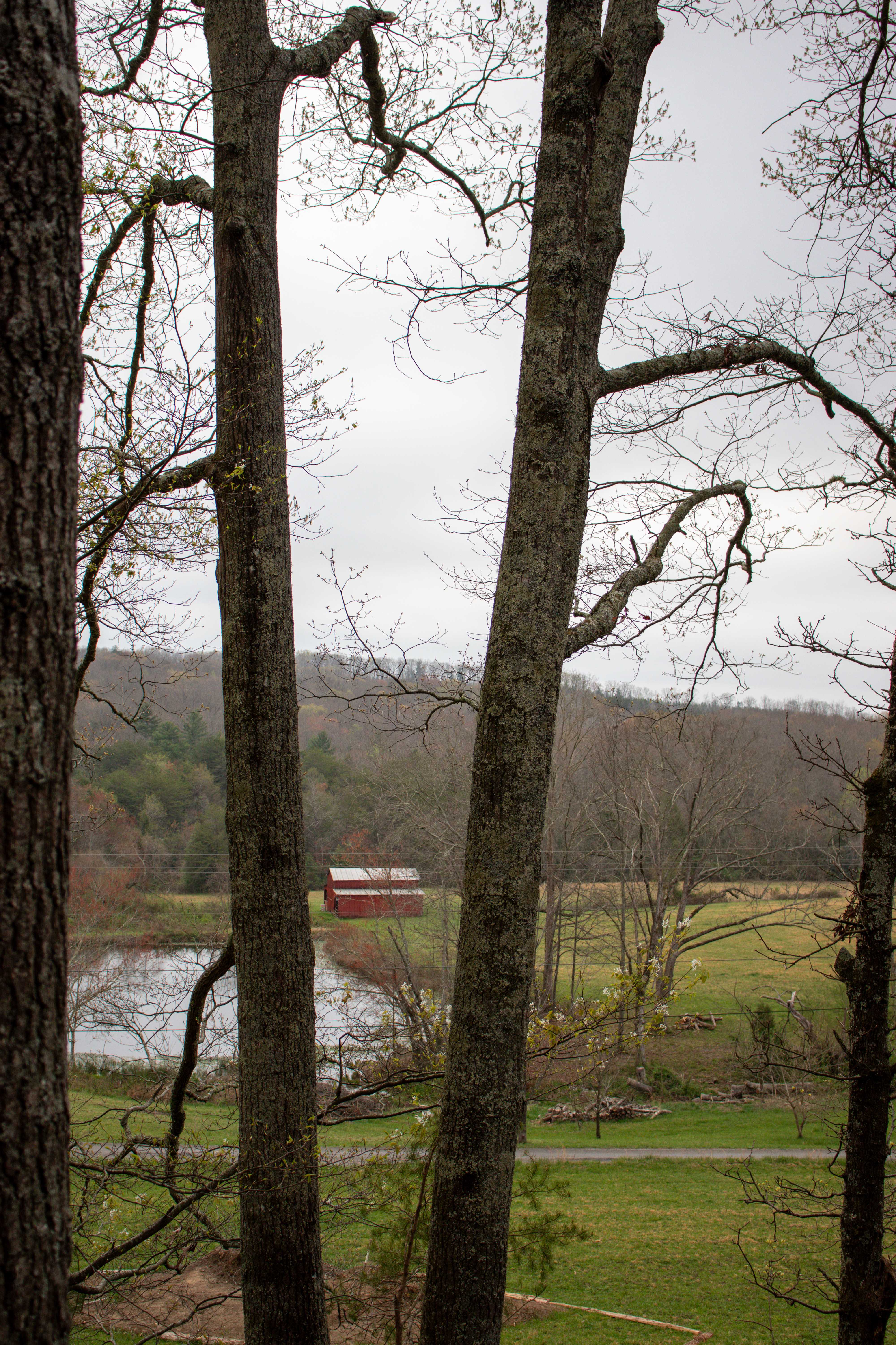 tennessee treetop views