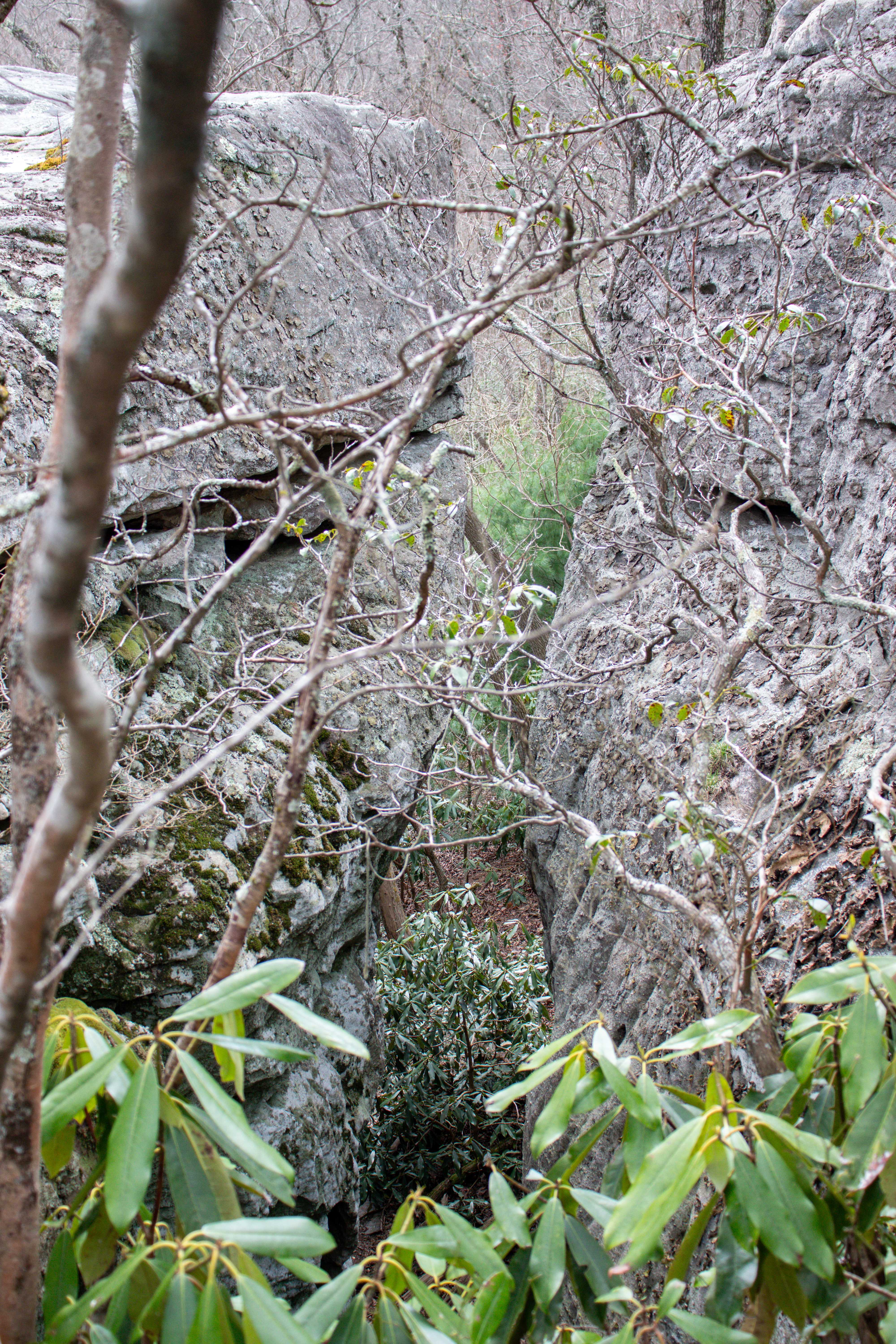 south overlook crevice
