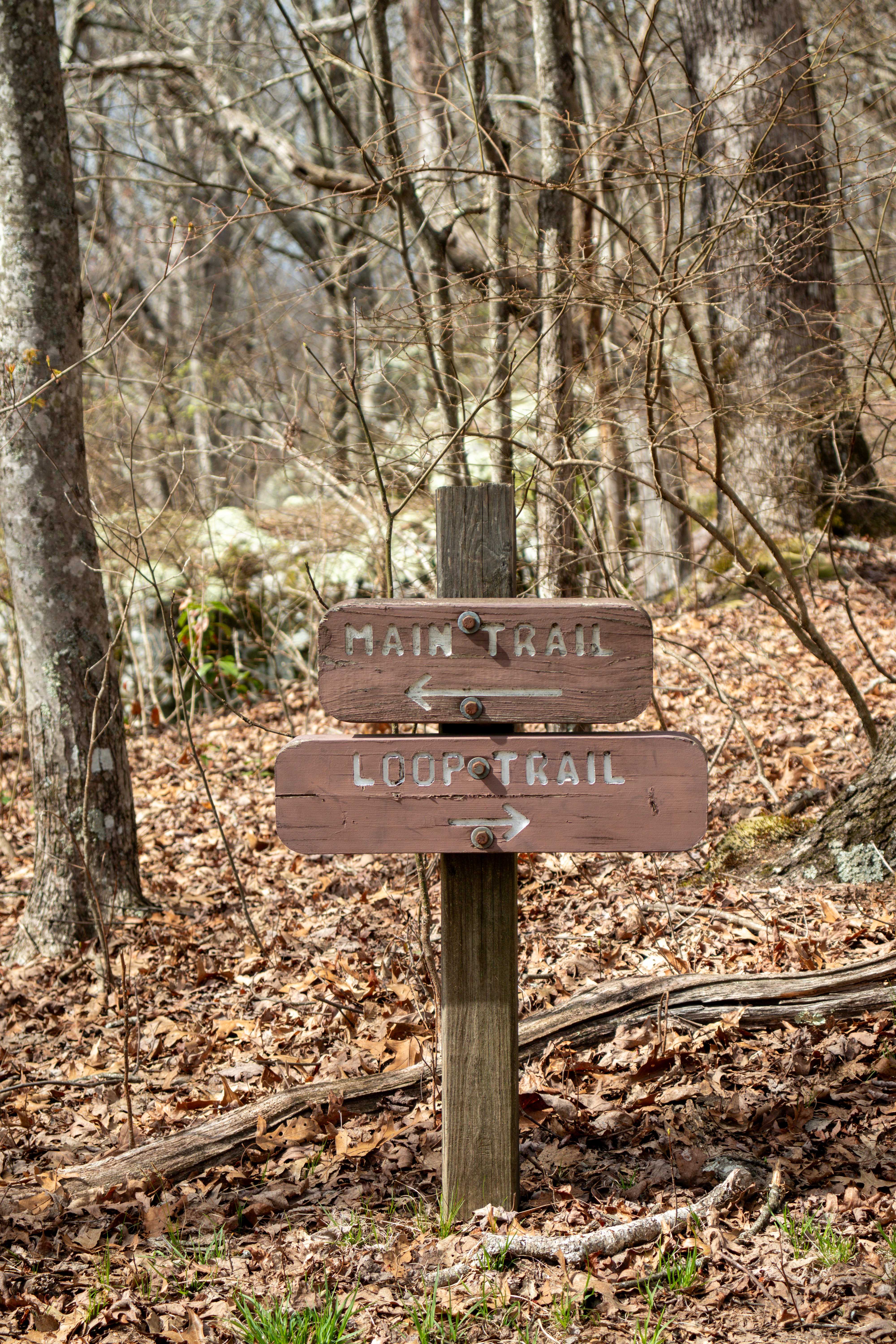 black mountain trail sign