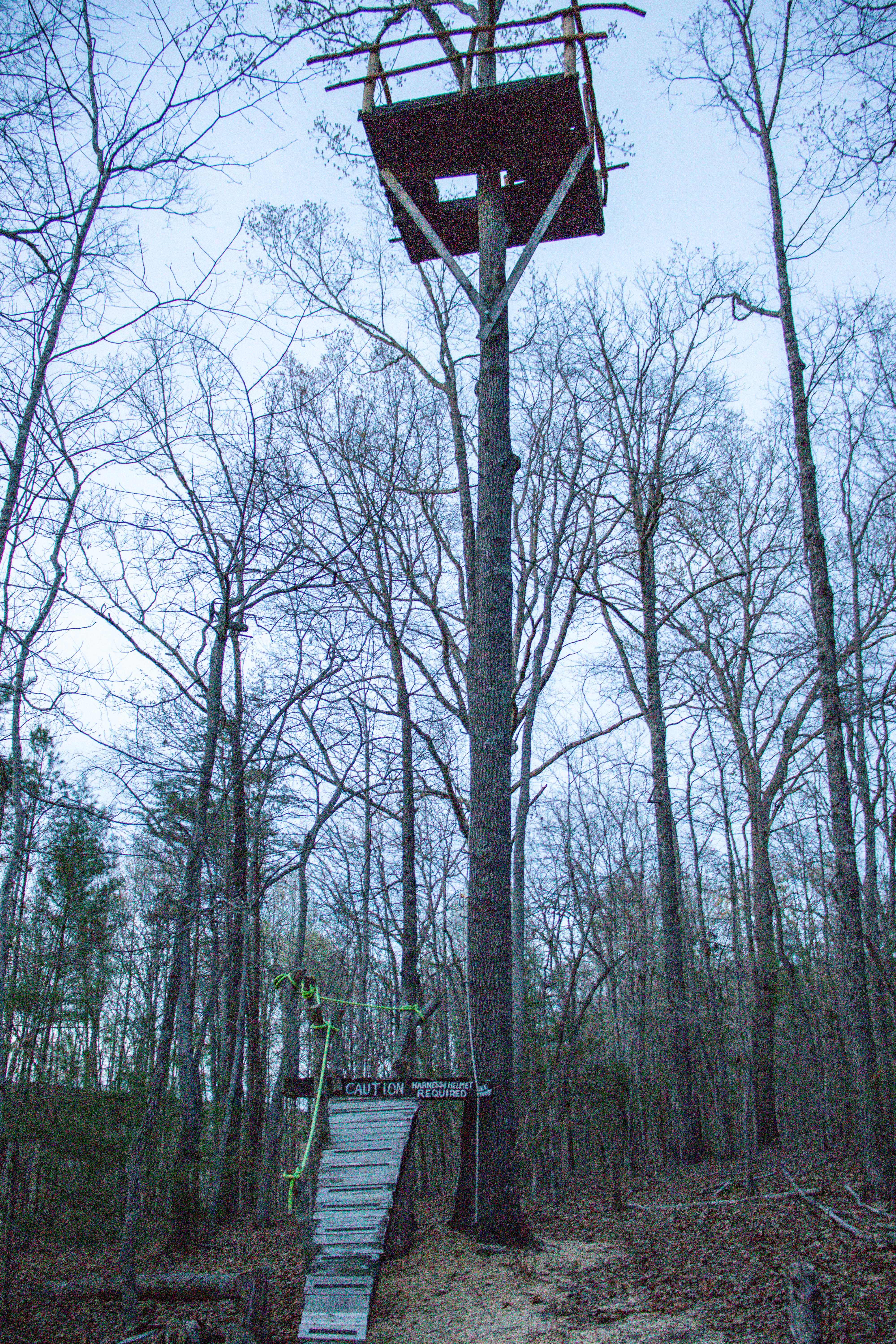tree climbing platform