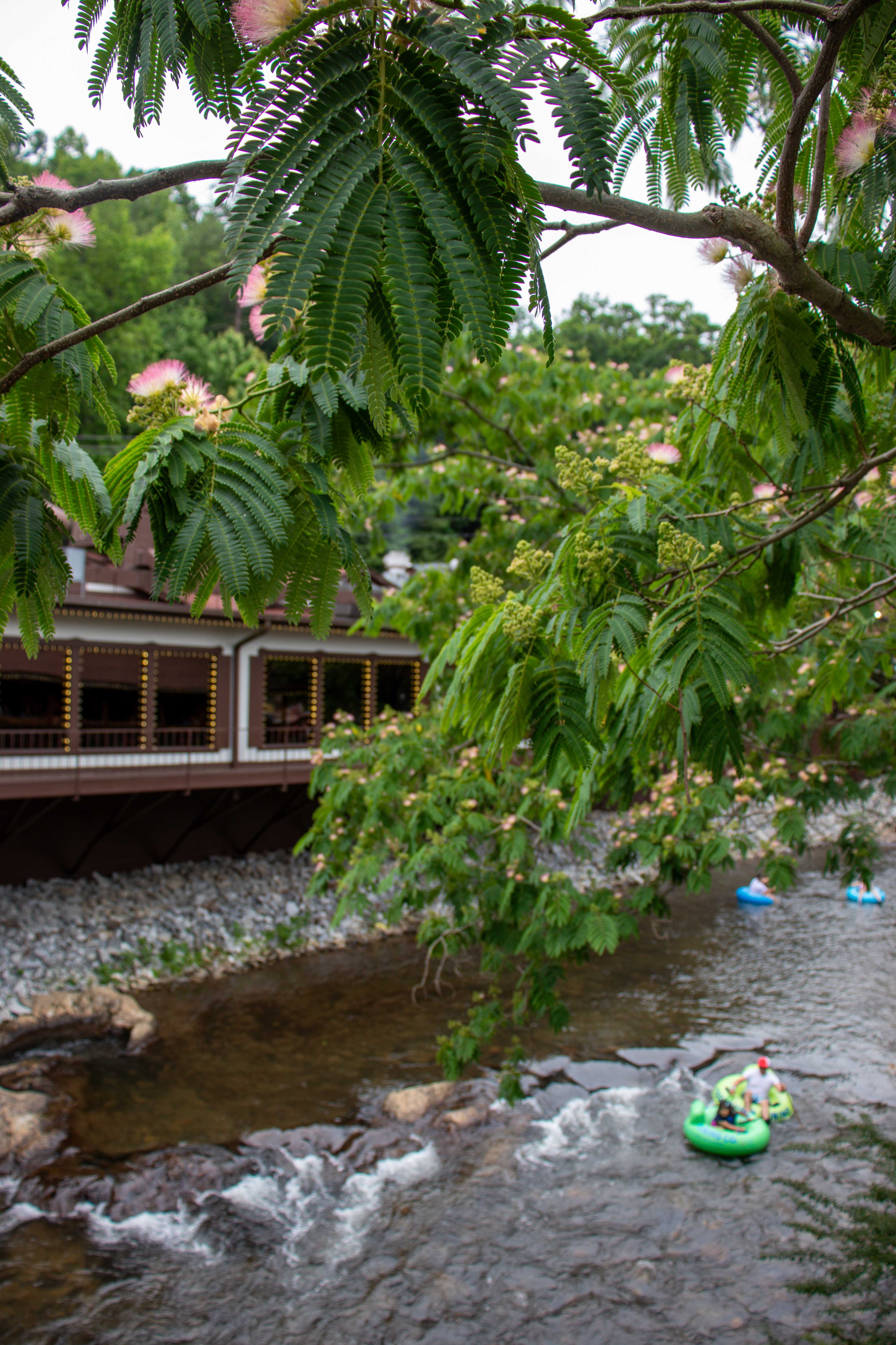 river tubers on the chattahoochie river in downtown helen, ga
