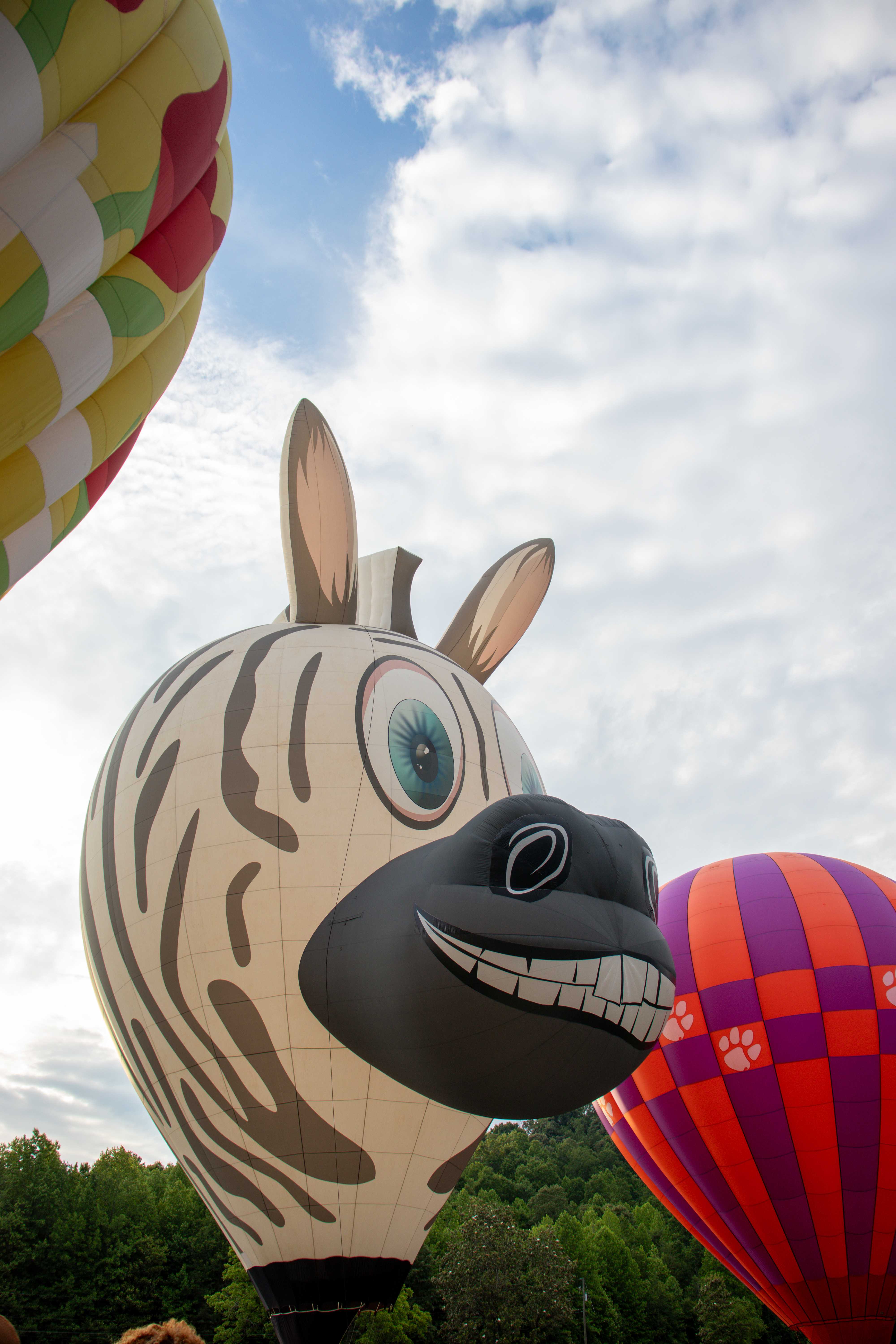 hot air balloons in helen, ga