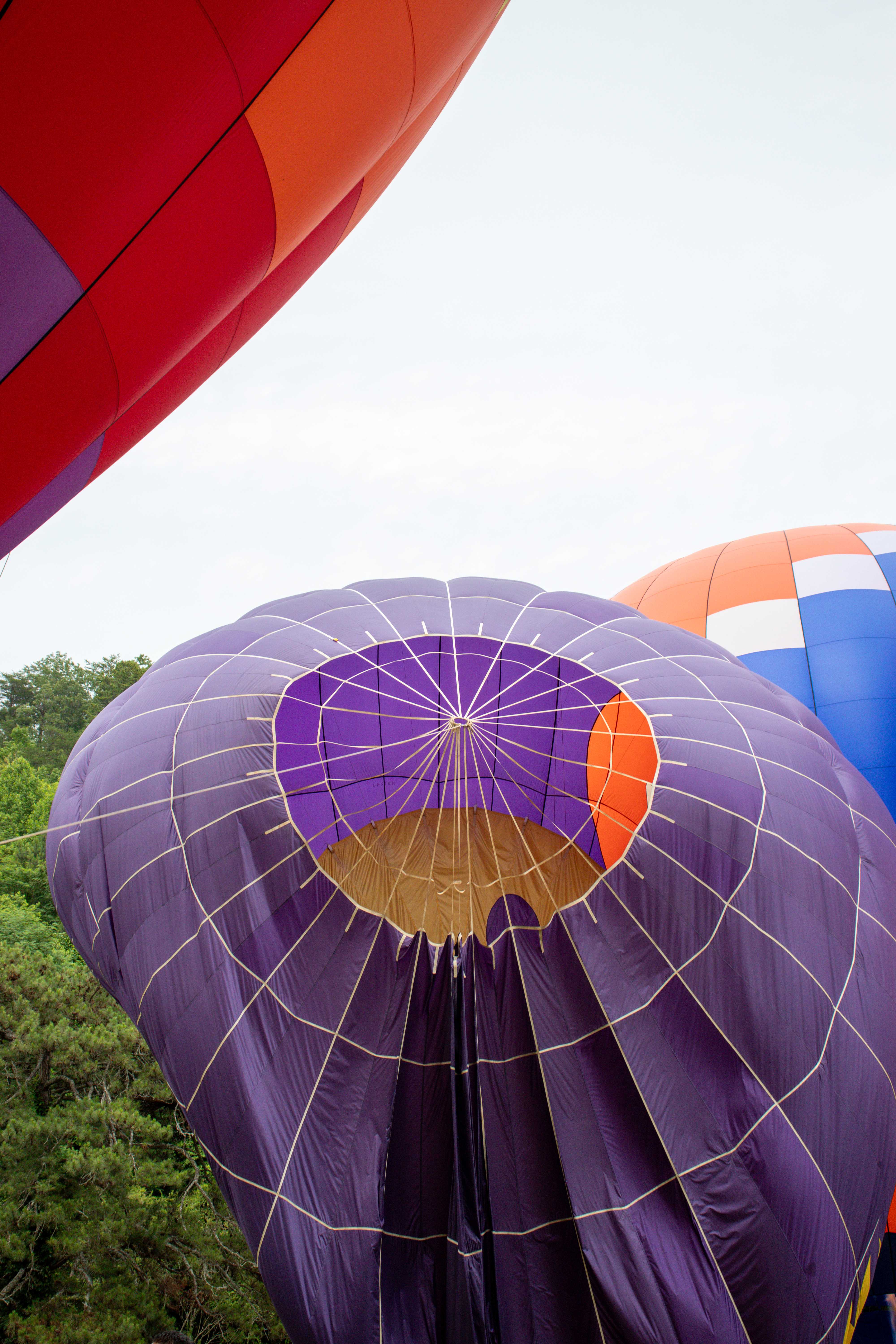 hot air balloons in helen