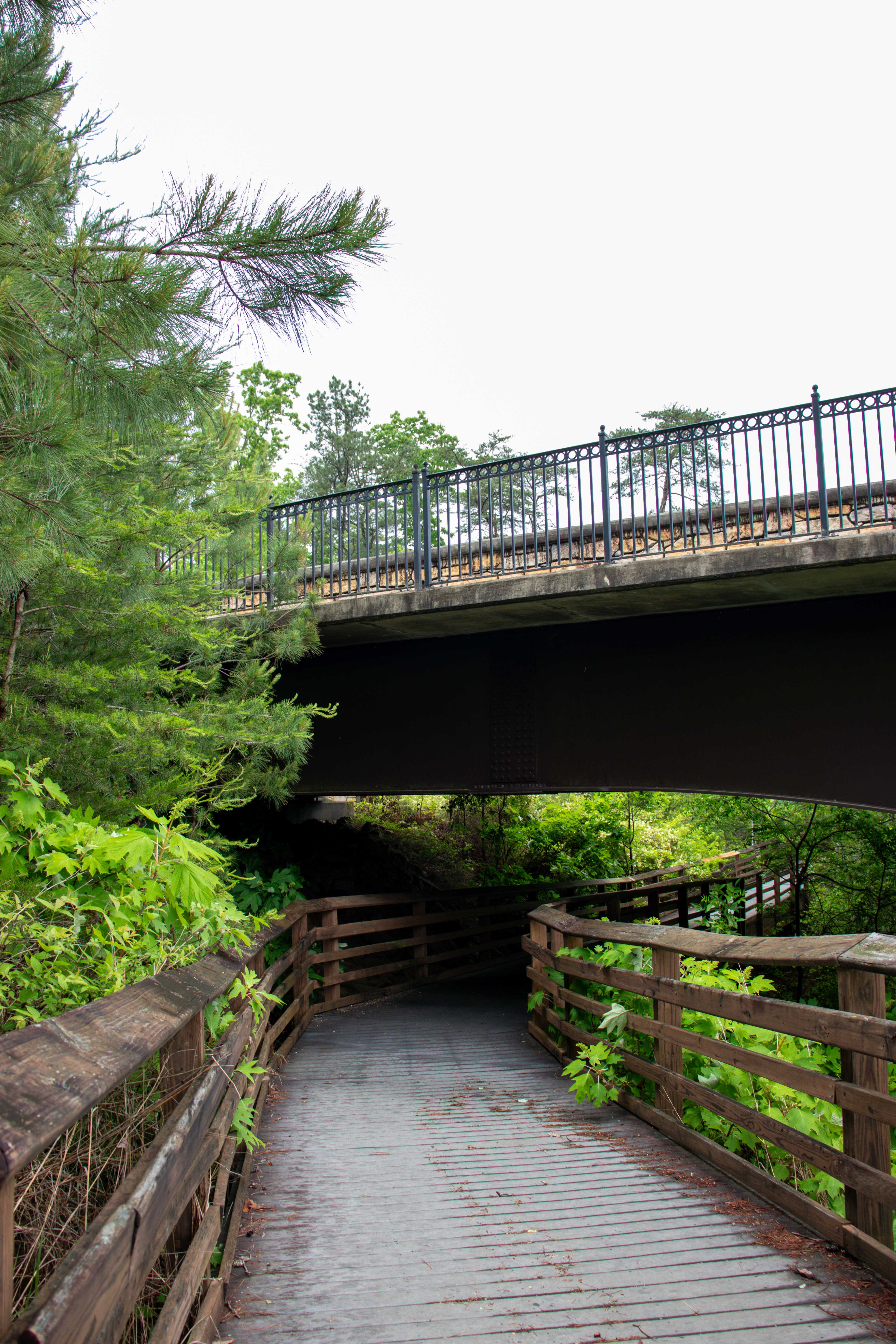 bridge trail going under bridge