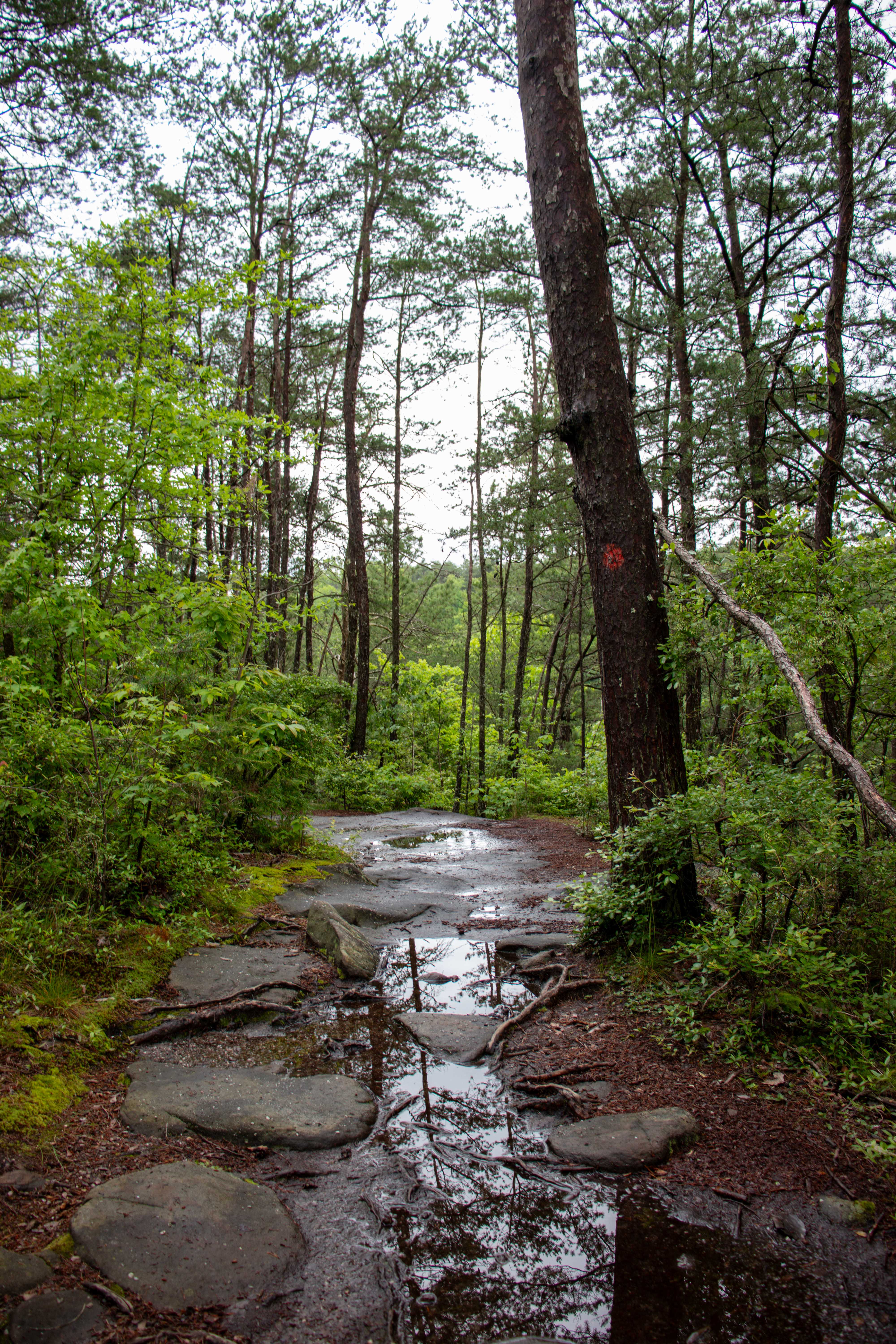 little river hiking