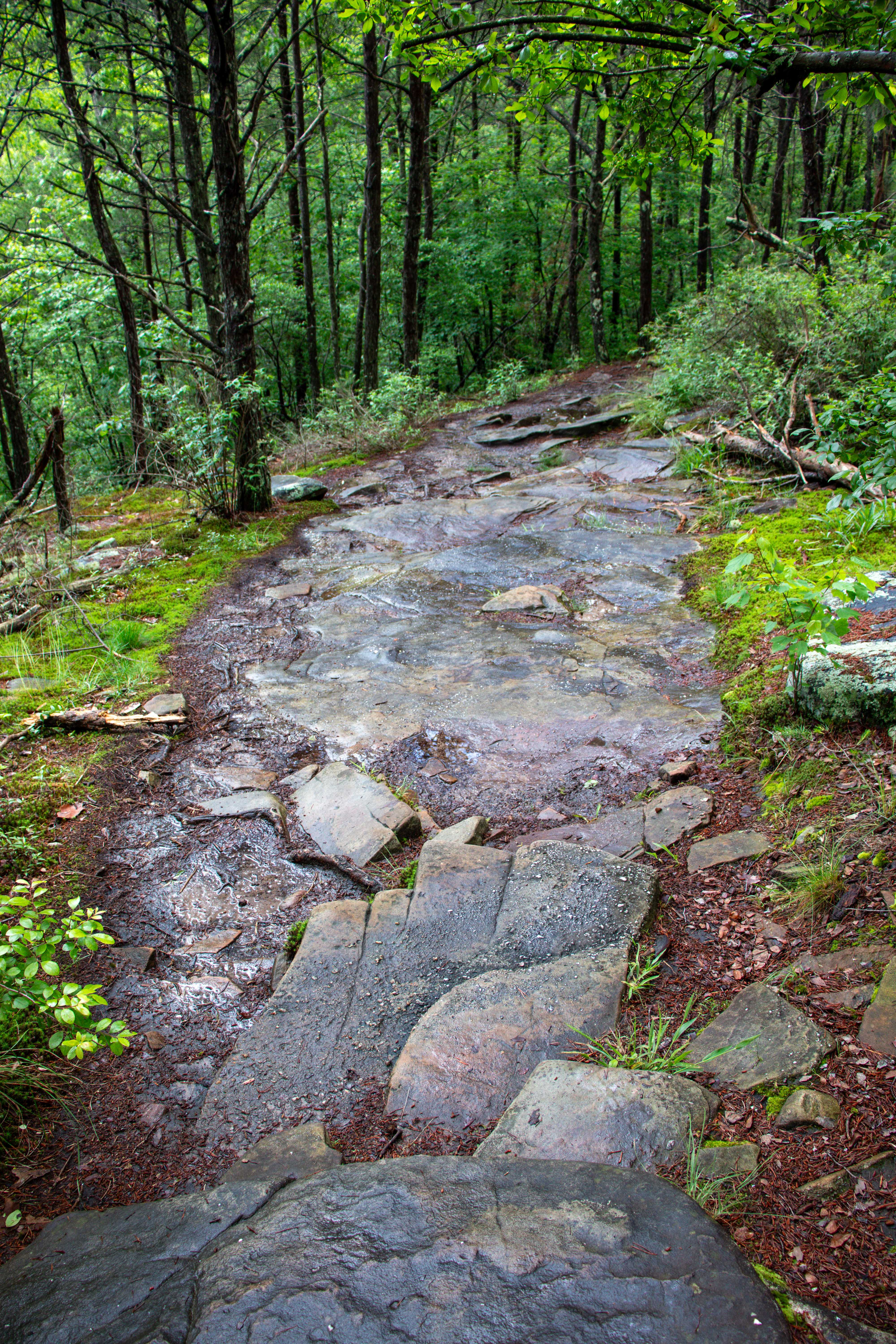 hiking at little river canyon