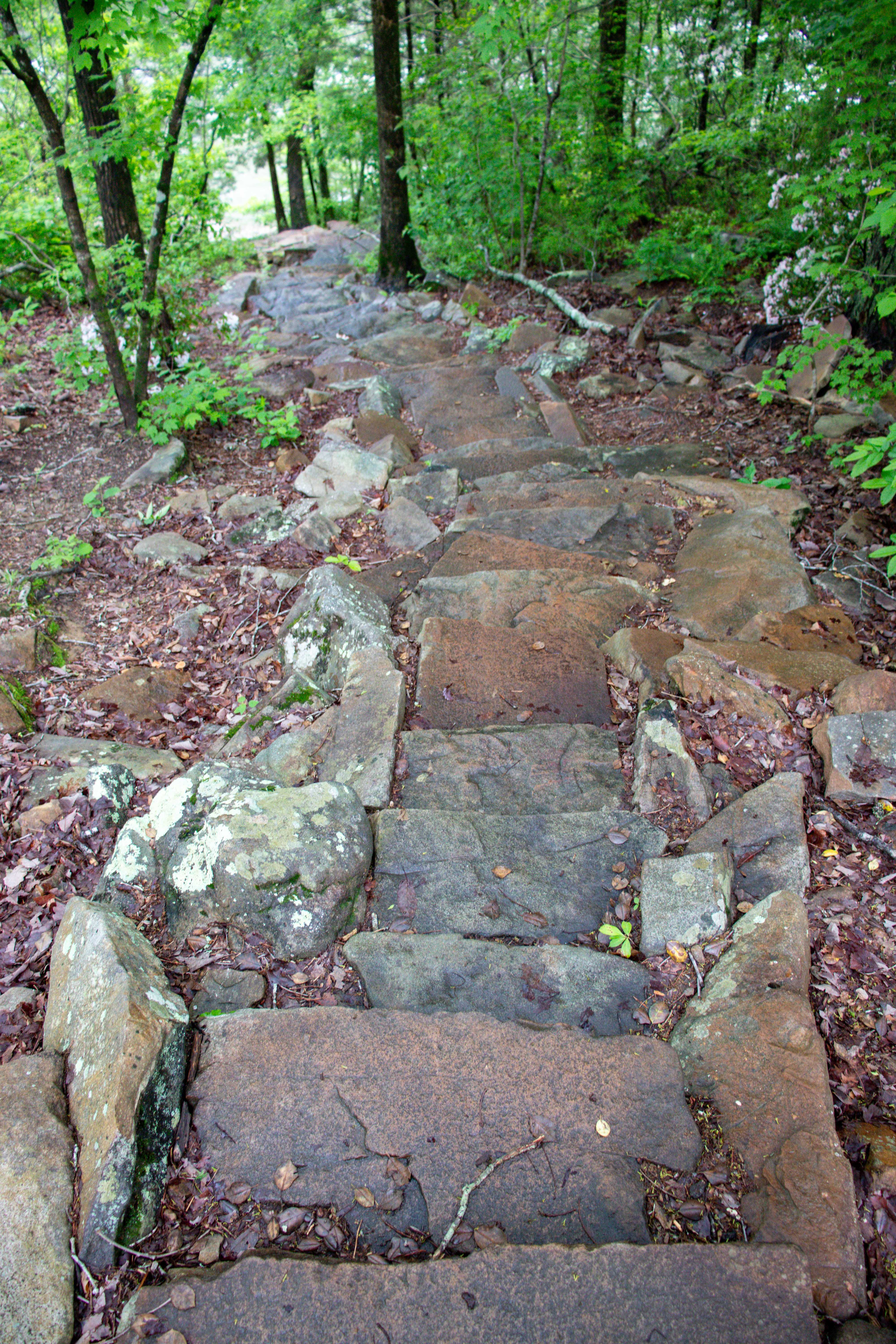 little falls trail stairs