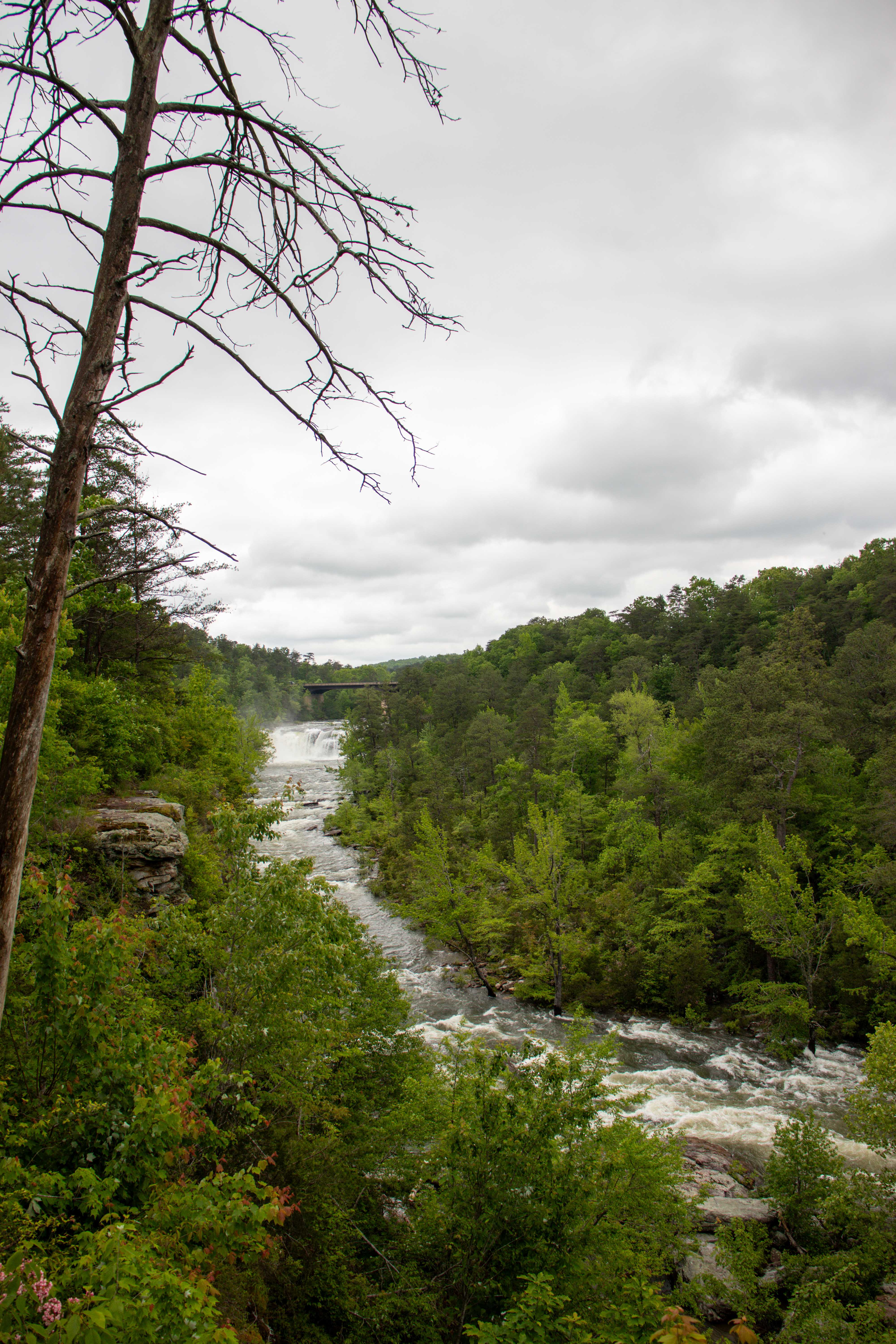 Little River Falls Overlook