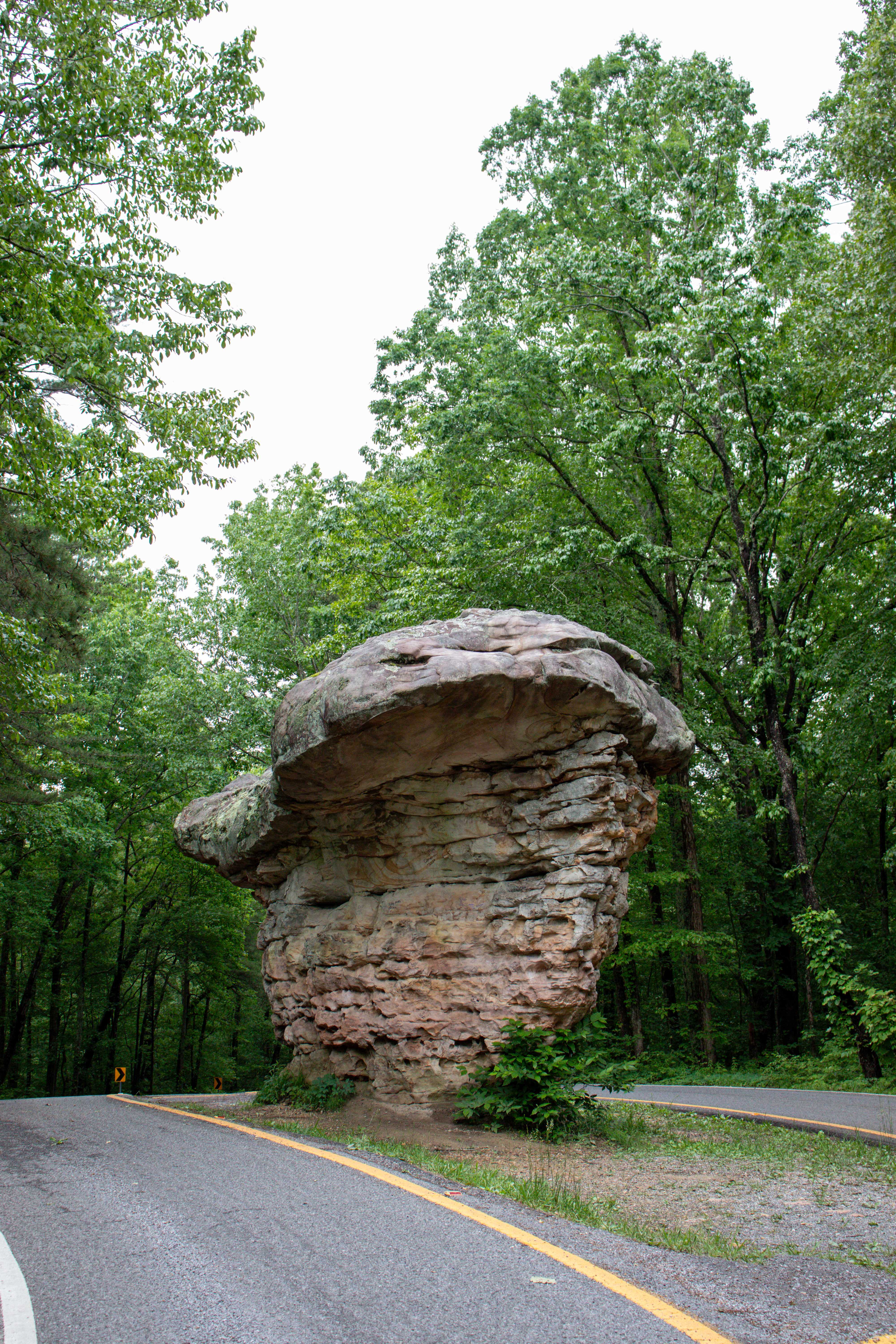 mushroom rock