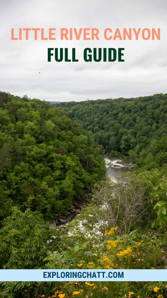Little River Canyon Full Guide