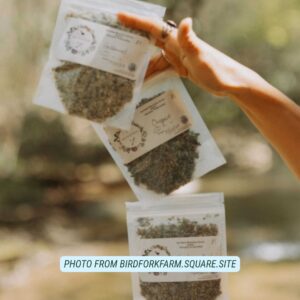 bird fork farm chattanooga herbalist